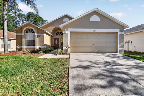 30723 Birdhouse Dr, Wesley Chapel, FL 33545