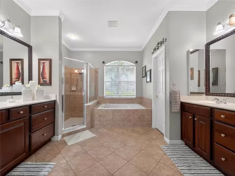 Bath - 10354 Oakview Pointe Ter, Gotha, FL 34734 photo 1 of 6
