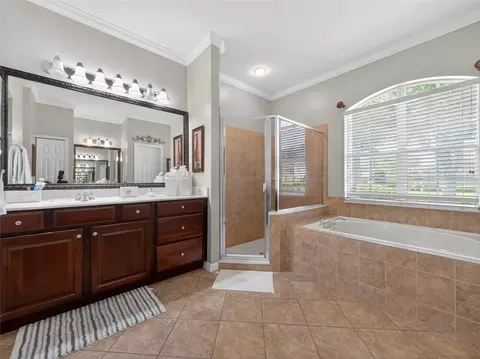 Bath - 10354 Oakview Pointe Ter, Gotha, FL 34734 photo 2 of 6