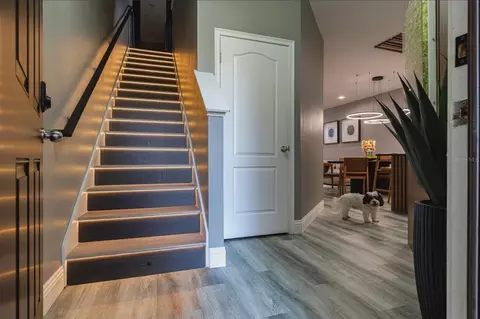 Entry Way - 1512 Groundsel Ln, Ocoee, FL 34761 photo 1 of 3