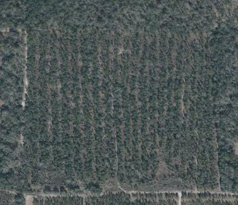 64 Th Pl, Live Oak, FL 32060