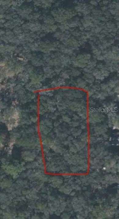 128 Th Pl, Chiefland, FL 32626