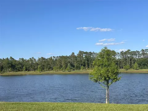 View/Area - 4891 Shady Pines Dr, Saint Cloud, FL 34772 photo 1 of 4