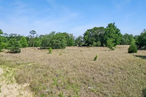 Sw 149th Ct, Ocala, FL 34481 photo 4