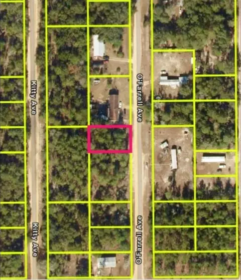 N O'farrell Avenue, Interlachen, FL 32148