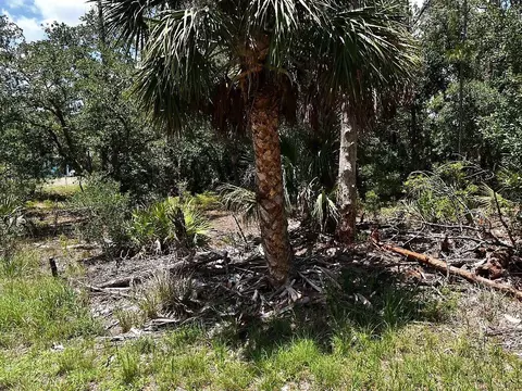 Hawksbill Avenue, North Port, FL 34291