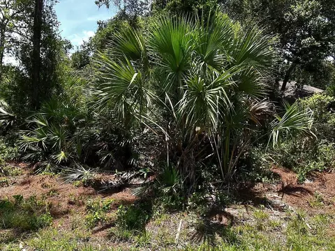 Van Eck Road, North Port, FL 34291