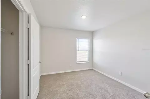 1729 Canaan Loop, Dundee, FL 33838 photo 22
