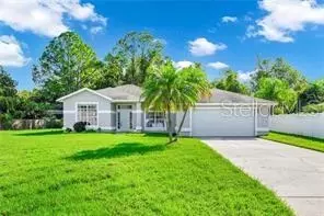 14701 Madonna Lily Ct, Orlando, FL 32824