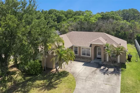 View/Area - 3203 Sawgrass Creek Cir, Saint Cloud, FL 34772 photo 1 of 5