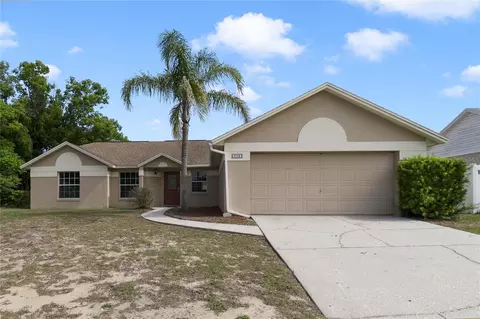 228 Mango Ct, Davenport, FL 33837