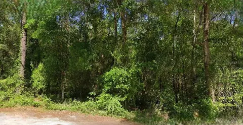 NE 6th Lane Road, Silver Springs, FL 34488