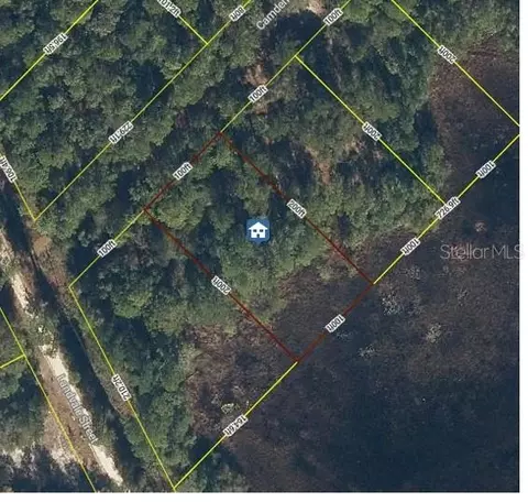 103 Brierly St, Georgetown, FL 32139