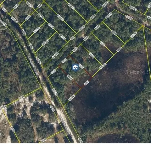 103 Brierly St, Georgetown, FL 32139 photo 2