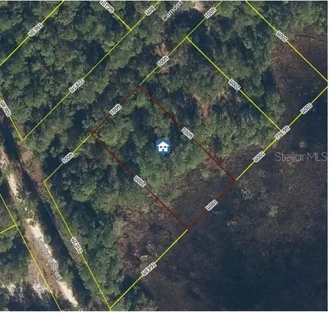 103 Brierly St, Georgetown, FL 32139 photo 5