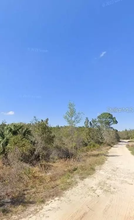 Steward Road, Eustis, FL 32726
