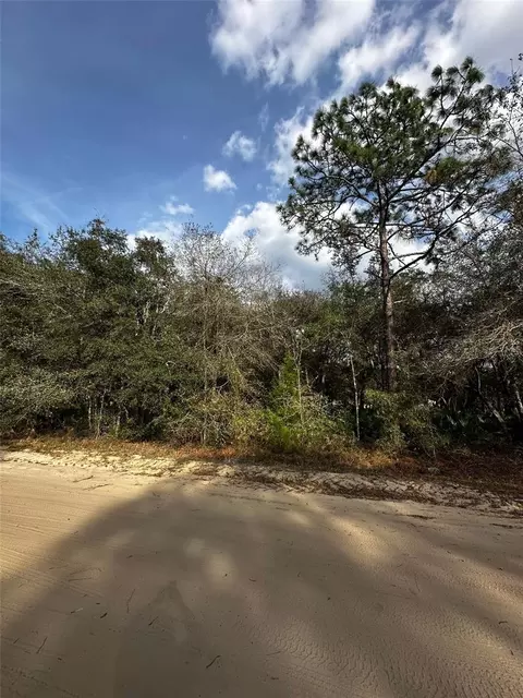 13-10 24-4079-0060-0040, Interlachen, FL 32148