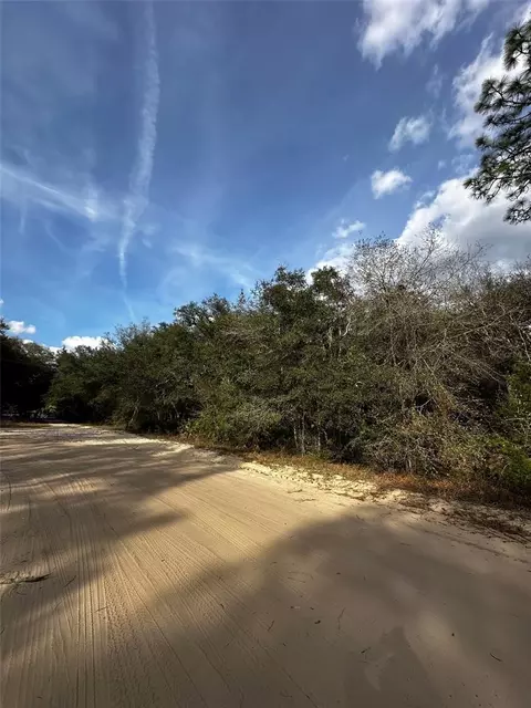 13-10 24-4079-0060-0040, Interlachen, FL 32148 photo 2