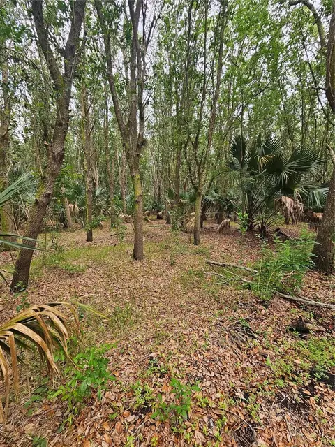 601 Howard Ave, Oviedo, FL 32765