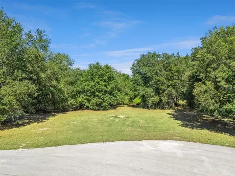 18353 Great Blue Heron Dr, Groveland, FL 34736