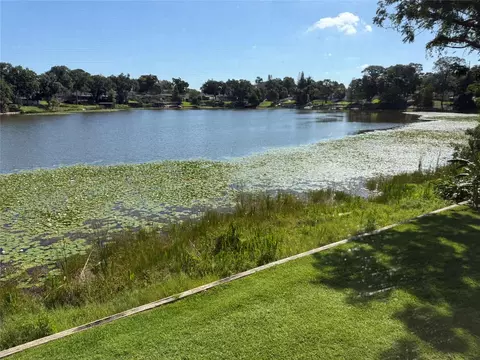 View/Area - 410 E Orlando Ave #19A, Ocoee, FL 34761 photo 2 of 5