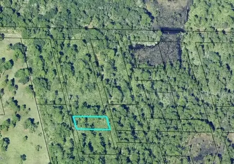 20 34-03-ai-5-319 # G, Mims, FL 32754