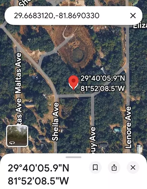 00 Elizabeth Ci, Interlachen, FL 32148 photo 4