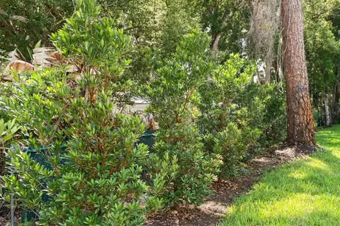 Other - 247 Debary Dr, Debary, FL 32713 photo 5 of 7