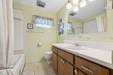 43 Sabal Palm Cir, Eustis, FL 32726 photo 18