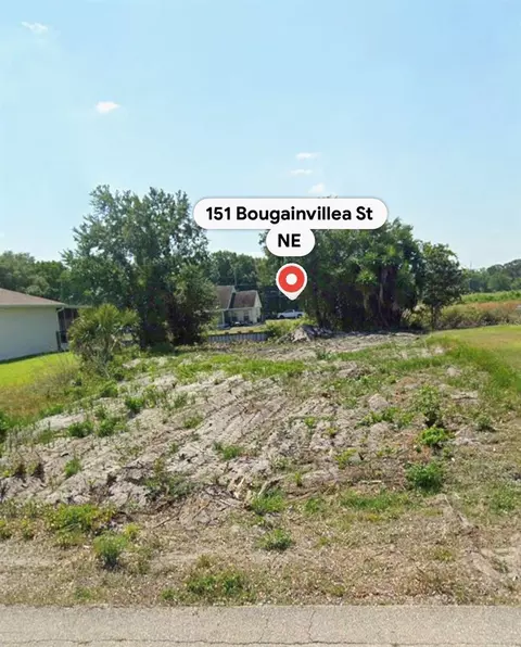 151 Bougainvillea St NE, Lake Placid, FL 33852