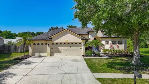 16923 Melissa Ann Dr, Lutz, FL 33558