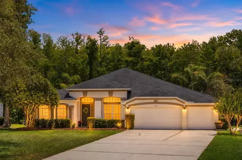 14812 Via Winghurst Ct, Orlando, FL 32828