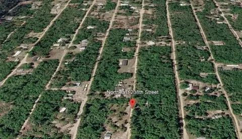 15589 NE 238th St, Fort Mc Coy, FL 32134
