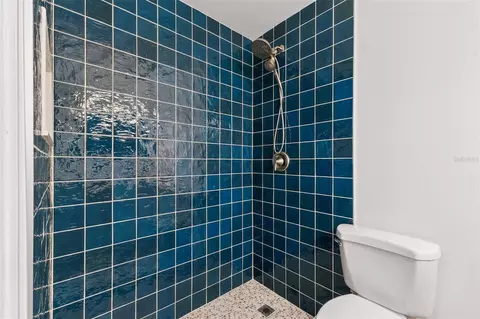 Bath - 668 Olympic Dr #1, Ocoee, FL 34761 photo 3 of 4