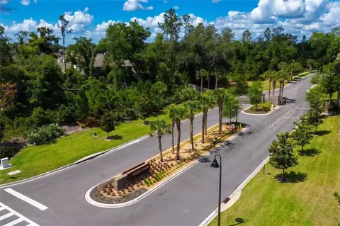 2932 Muller Oak Loop, Ocoee, FL 34761 photo 44