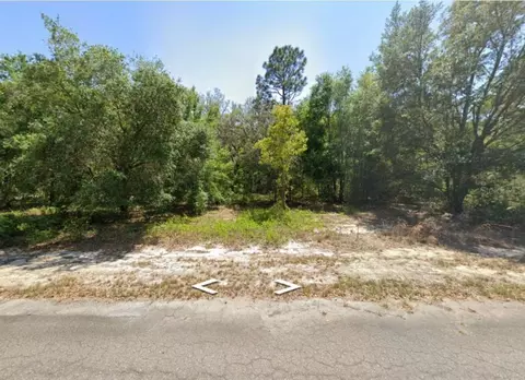 0 Guava Lane Pl, Ocklawaha, FL 32179