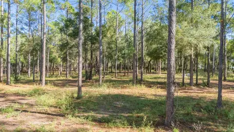 24238 Deep Springs Loop, Eustis, FL 32736 photo 7