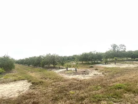 Ne Hwy 70, Arcadia, FL 34266
