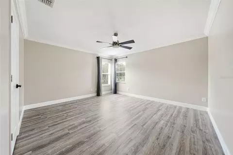 Other - 11326 Ledgement Ln, Windermere, FL 34786 photo 7 of 15