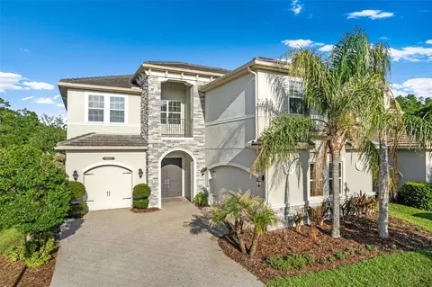 31321 Chesapeake Bay Dr, Wesley Chapel, FL 33543