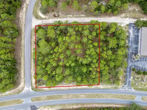 9787 N Citrus Springs Blvd, Citrus Springs, FL 34434
