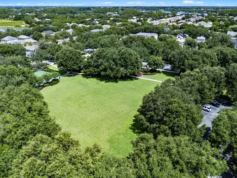 View/Area - 11401 Evesham Dr, Windermere, FL 34786 photo 4 of 4