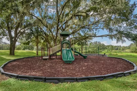 View/Area - 24215 Weldon Dr, Eustis, FL 32736 photo 9 of 9