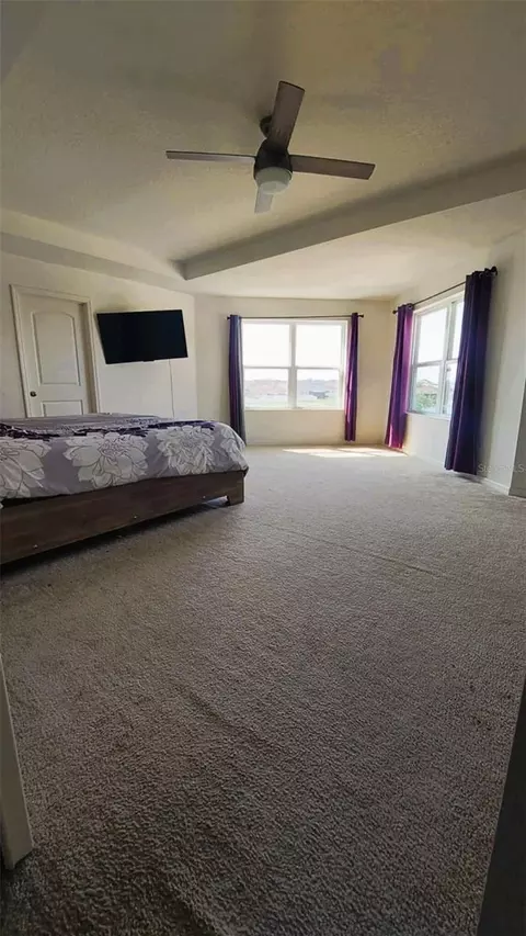 Bedroom - 11542 Brighton Knoll Loop, Riverview, FL 33579 photo 3 of 6