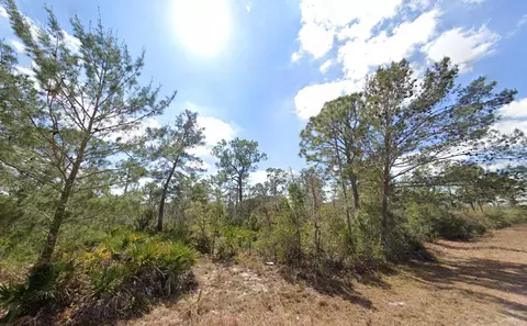 3049 Cedar Hill Ave, Lake Placid, FL 33852