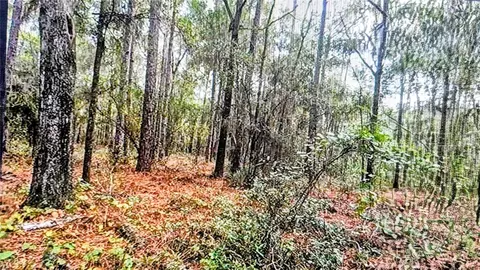 2871 W Sunkist Ln, Dunnellon, FL 34433