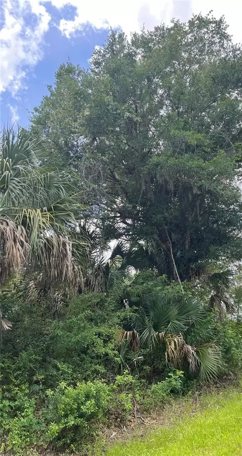 2942 Brownwood Cir, Sebring, FL 33875