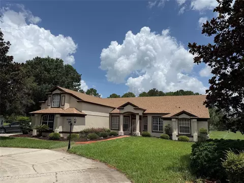 31405 Bear Pond Dr, Sorrento, FL 32776