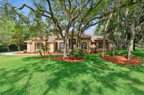 796 Mills Estate Pl, Chuluota, FL 32766