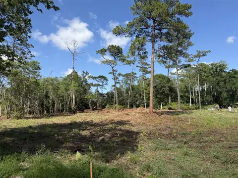 1005 Juniper Dr, Christmas, FL 32709
